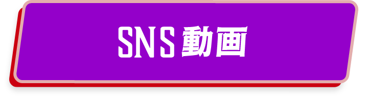 SNS 動画