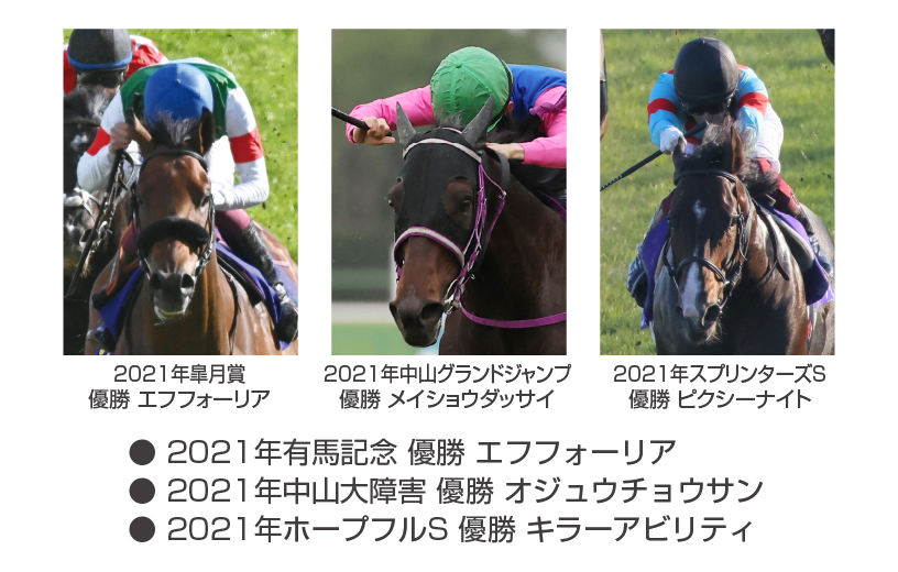 競馬 競馬グッズ アイマスク (中山競馬場) JRA 非売品 - コレクション