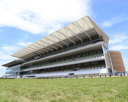 中京競馬場