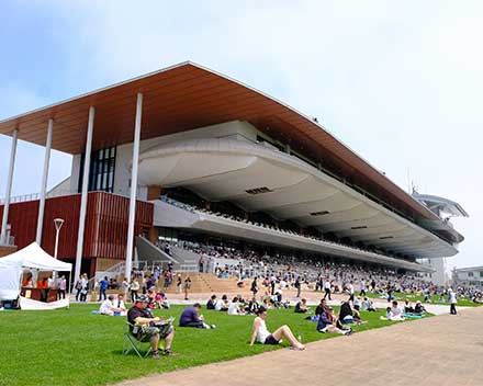 函館競馬場