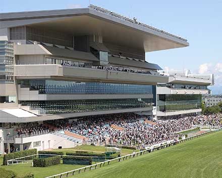 新潟競馬場