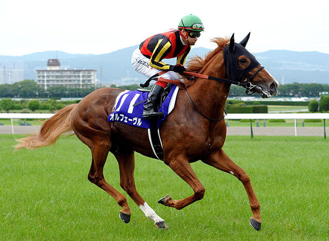 早期予約・新じゃが ☆専用☆ 競馬 オルフェーヴル キーホルダー