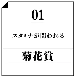 スタミナが問われる。菊花賞