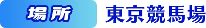 場所 東京競馬場