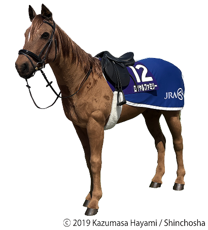 新型馬ロボ