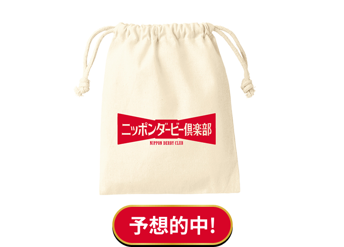 オリジナルロゴ入り巾着袋