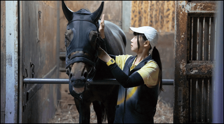 厩務員のイメージ