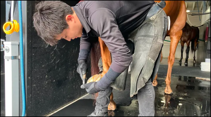 装蹄師のイメージ