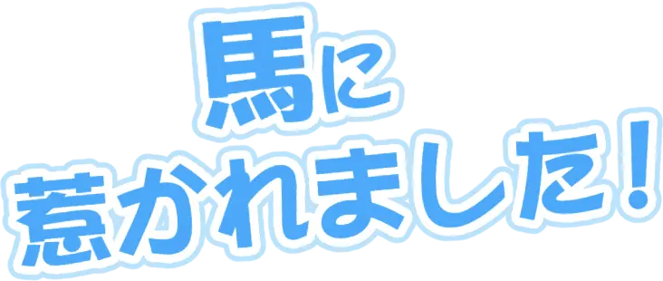 馬に惹かれました！