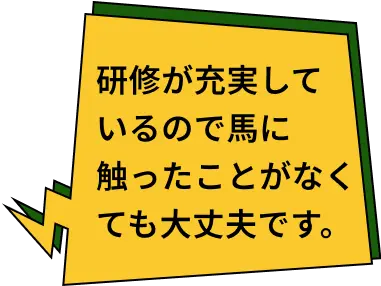 研修が充実しているので馬に触ったことがなくても大丈夫です。
