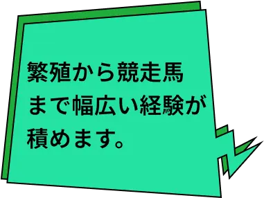 繁殖から競走馬まで幅広い経験が積めます。