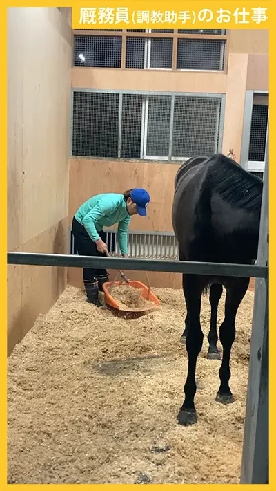 厩務員の紹介動画のサムネイル画像