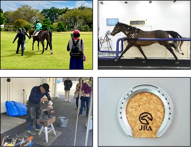こども馬学の様子。4枚の画像がグリッド状に並んでいる。左上が体験乗馬。右上がトレッドミル。左下が造鉄実演。右下が蹄鉄コースター。