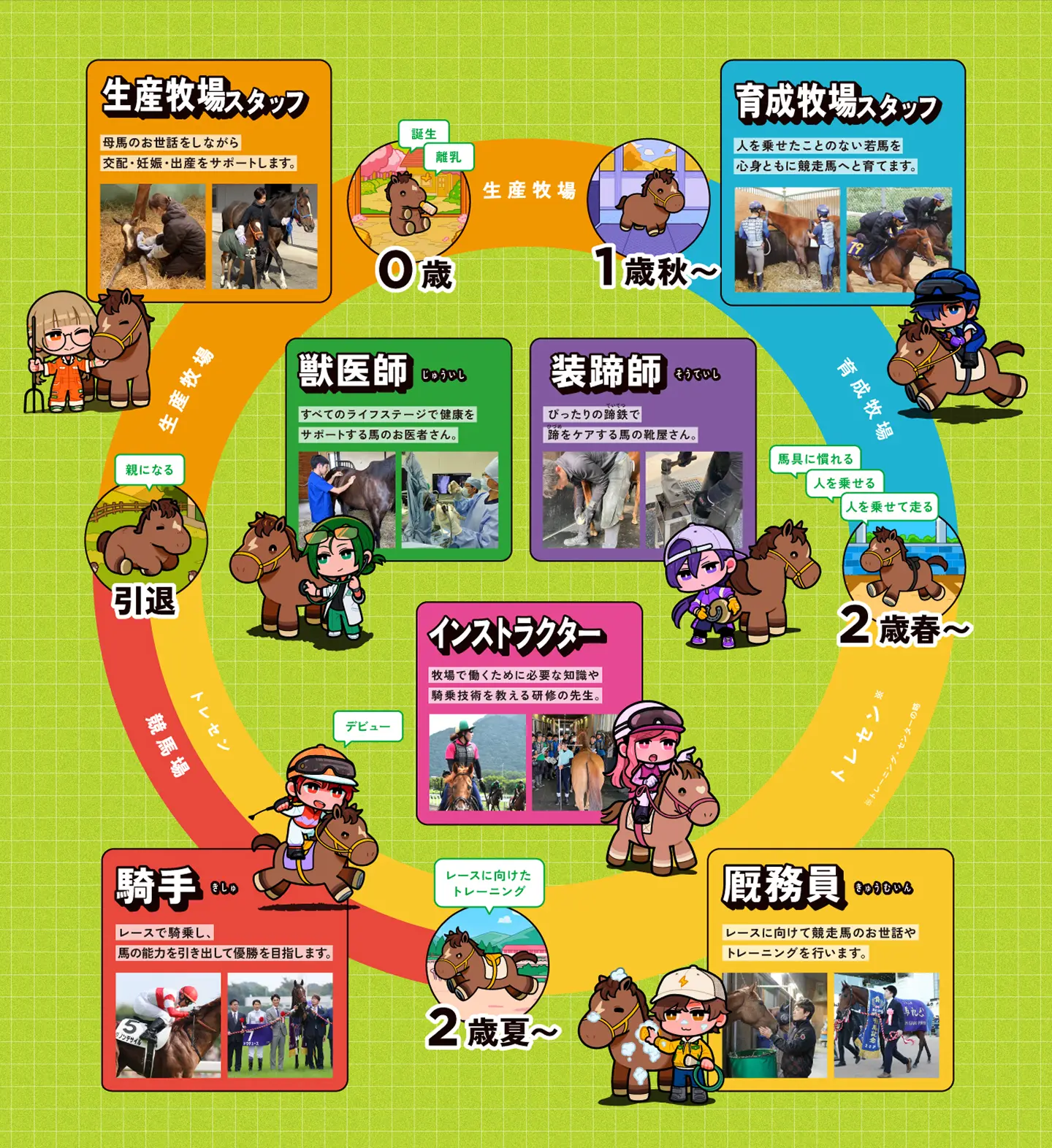 馬のお仕事相関図
