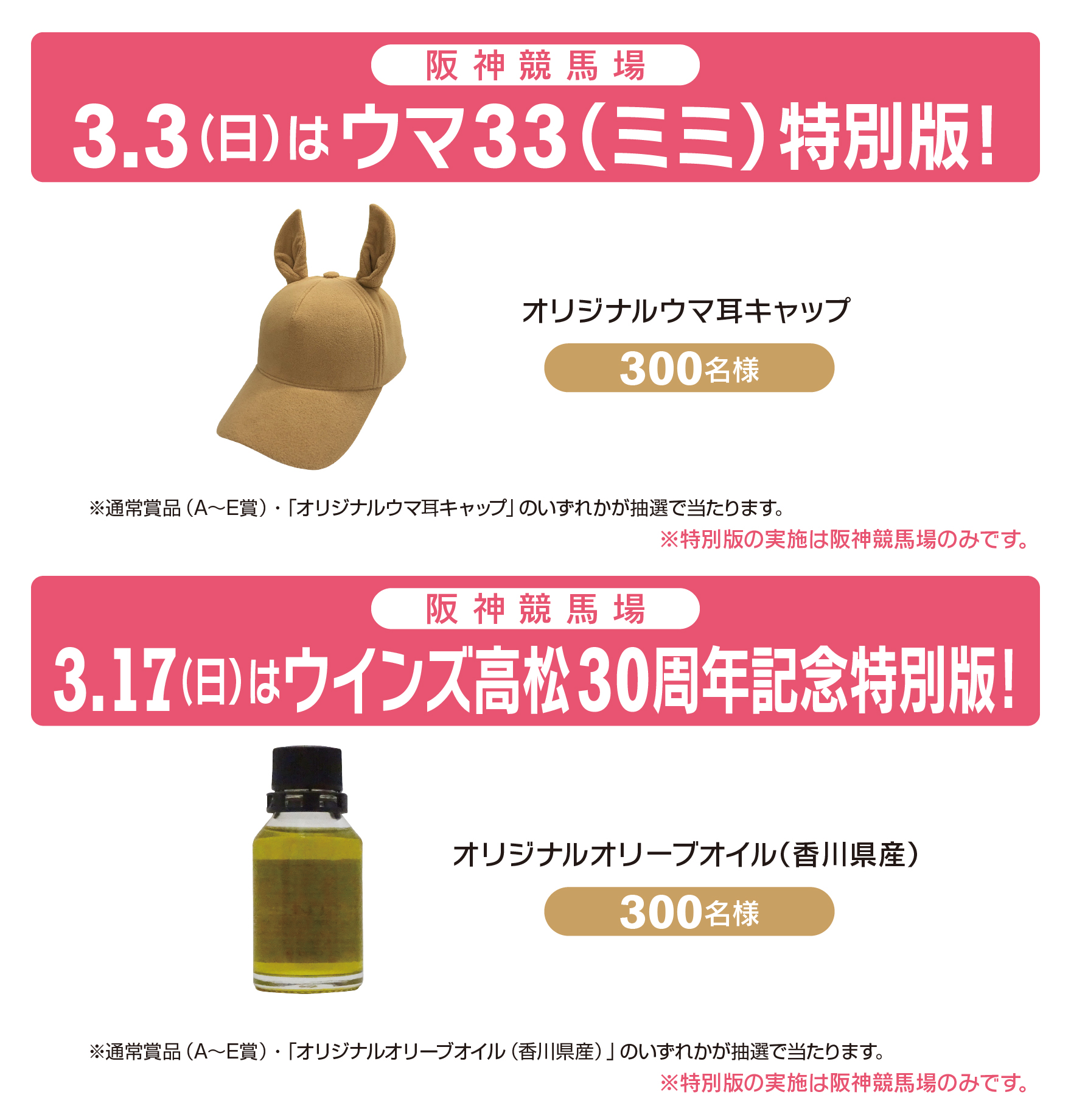 中山競馬場 ハンドタウン ウェルカムチャンス - お風呂用品